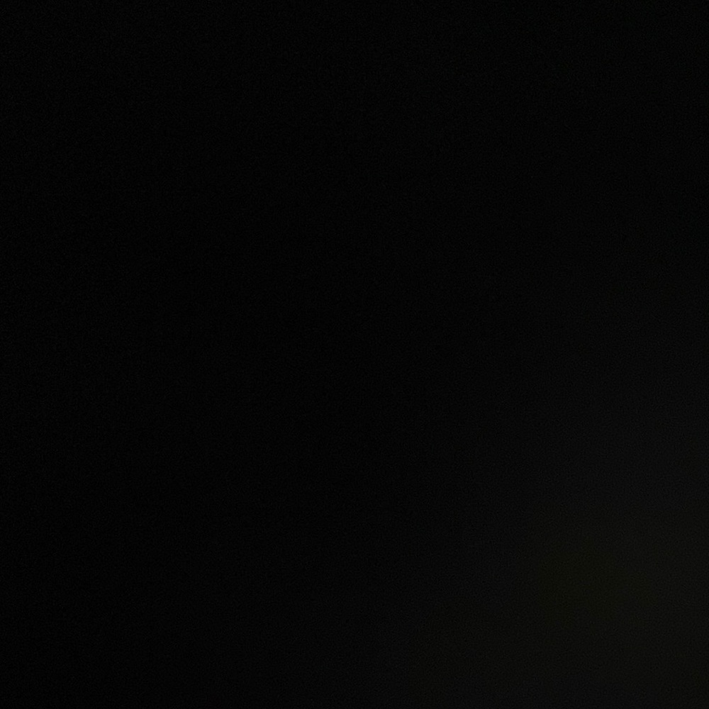 Meet your Posher, Elisa